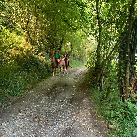 Gure Naia 乡村民宿 卡兰特萨