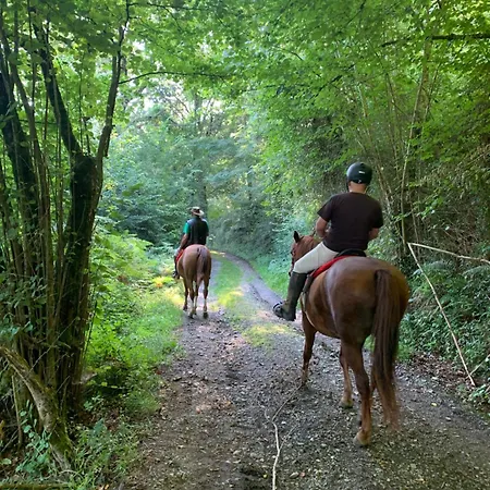 Gure Naia 乡村民宿 *